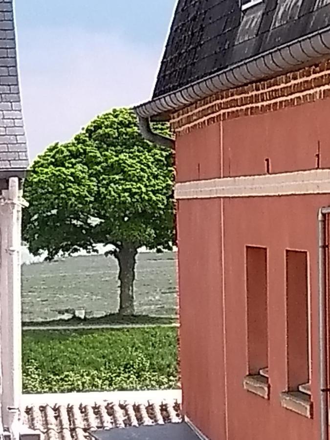 Ferienwohnung Au petit bonheur Saint-Valéry-sur-Somme Exterior foto